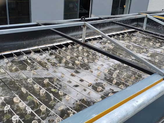 廣東制藥工業廢水處理工藝